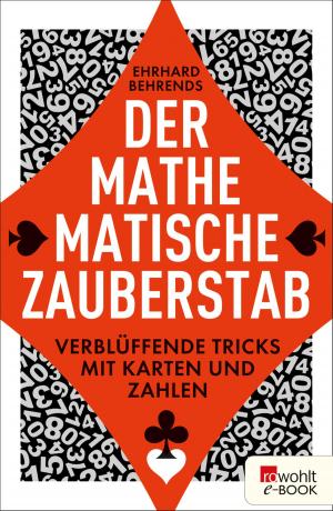 Cover of the book Der mathematische Zauberstab by Rachel Kushner
