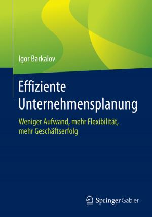 Cover of the book Effiziente Unternehmensplanung by Bernd Luderer, Karl-Heinz Eger, Dana Uhlig