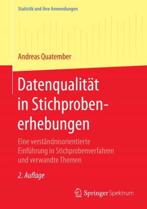 Cover of the book Datenqualität in Stichprobenerhebungen by Dieter Frey, Lisa Katharin Schmalzried