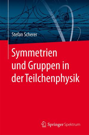 Book cover of Symmetrien und Gruppen in der Teilchenphysik