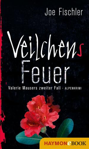 Cover of the book Veilchens Feuer by Jürg Amann