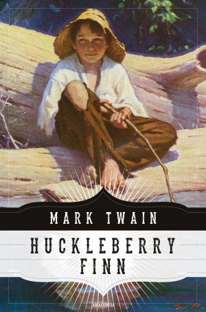 Cover of Die Abenteuer des Huckleberry Finn