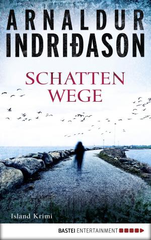 Cover of the book Schattenwege by Anika Klüver