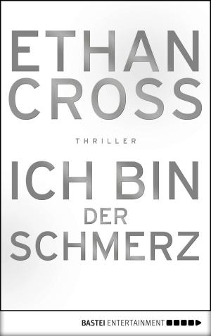 Cover of the book Ich bin der Schmerz by Logan Dee