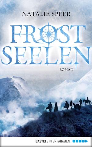Cover of the book Frostseelen by Nora Stern