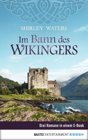 Cover of the book Im Bann des Wikingers by Maria Fernthaler