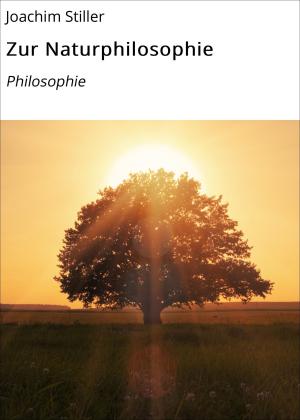 Cover of the book Zur Naturphilosophie by Michael Schenk
