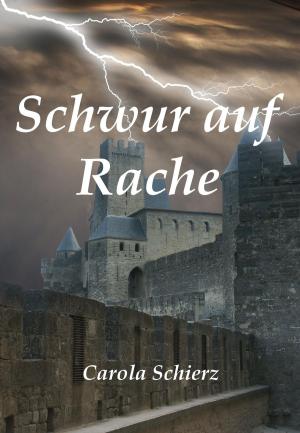 Cover of the book Schwur auf Rache by Claus Beese