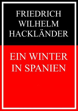 Cover of the book Ein Winter in Spanien by E. T. A. Hoffmann