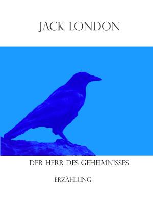 Cover of the book Der Herr des Geheimnisses by Michael Raschke