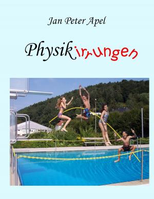 Cover of the book Physikirrungen by Aleksi Karvonen
