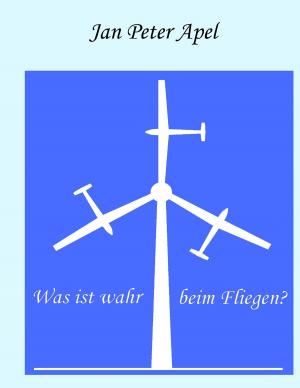 Cover of the book Was ist wahr beim Fliegen? by Matthias Müller