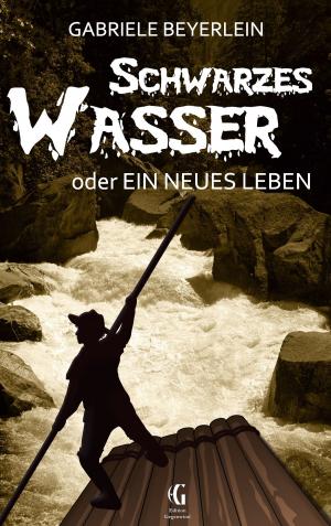 Book cover of Schwarzes Wasser oder Ein neues Leben