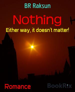Cover of the book Nothing by Glenn Stirling