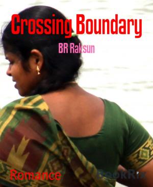Cover of the book Crossing Boundary by A. F. Morland