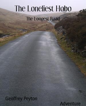 Cover of the book The Loneliest Hobo by Julie Steimle