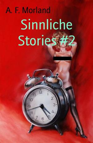 Cover of the book Sinnliche Stories #2 by Jürgen Köditz