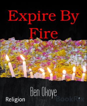 Cover of the book Expire By Fire by Alfred Ballabene