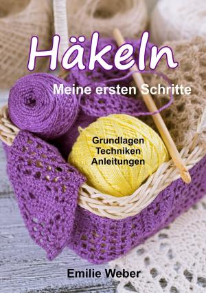 Cover of the book Häkeln - meine ersten Schritte by Jennifer Davis