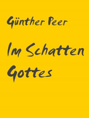 Cover of the book Im Schatten Gottes by Regina Tödter