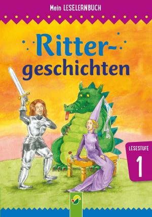 Book cover of Rittergeschichten