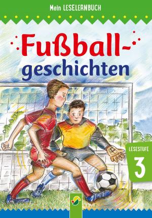 Cover of the book Fußballgeschichten by Brigitte Hoffmann
