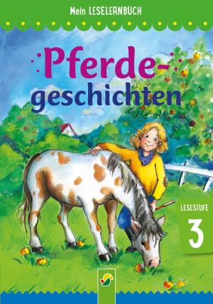 Book cover of Pferdegeschichten