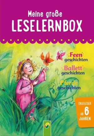 Book cover of Meine große Leselernbox: Feengeschichten, Ballettgeschichten, Pferdegeschichten