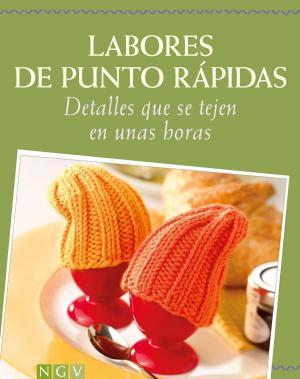 Cover of the book Labores de punto rápidas by 