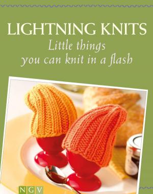 Cover of the book Lightning Knits by Alison Howard & Vanessa Mooncie Sian Brown