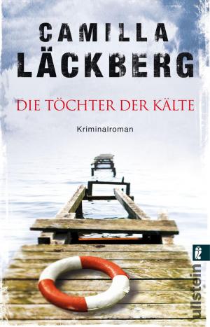 Cover of the book Die Töchter der Kälte by Kate Rhodes