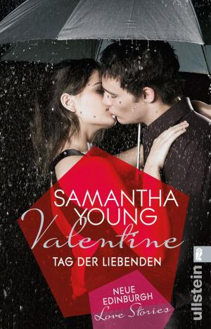Cover of the book Valentine by Heiner Geißler
