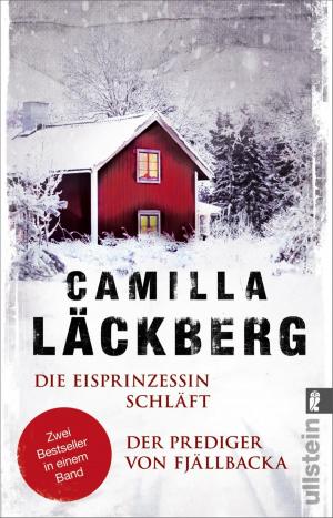 Cover of Die Eisprinzessin schläft / Der Prediger von Fjällbacka