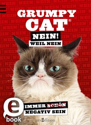 Cover of the book Grumpy Cat Nein! Weil Nein by Barbara Neeb