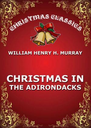 Book cover of Christmas In The Adirondacks