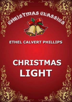 Book cover of Christmas Light