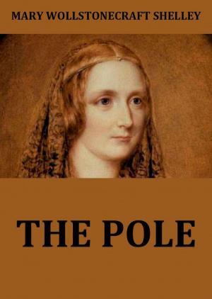 Cover of the book The Pole by Heinrich Heine