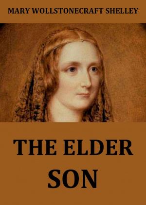 Cover of the book The Elder Son by Johanna Spyri