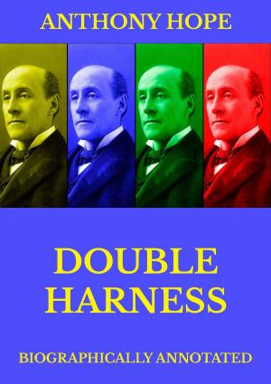 Cover of the book Double Harness by Julius Langbehn