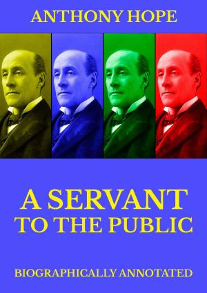 Book cover of A Servant of the Public