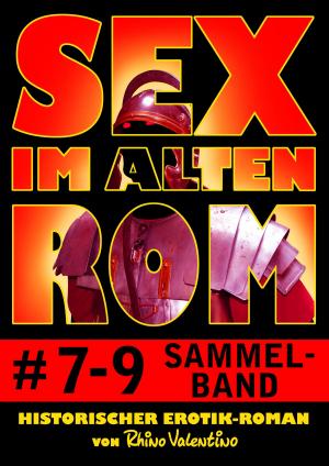 Book cover of Sex im alten Rom, Sammelband 7-9