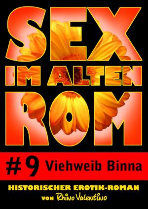 Cover of the book Sex im alten Rom 9 - Viehweib Binna by Ralf Stumpp