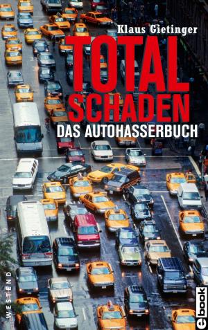 Cover of the book Totalschaden by Sevim Dagdelen