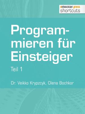Cover of the book Programmieren für Einsteiger by Anatole Tresch, Thorben Janssen