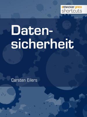 Book cover of Datensicherheit