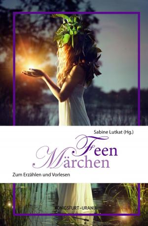 Cover of the book Feen-Märchen by Drew Gates