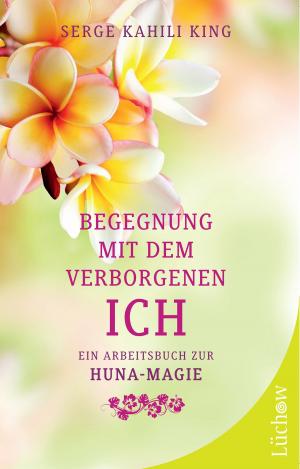Cover of the book Begegnung mit dem verborgenen Ich by Byron Katie, Kriben Pillay