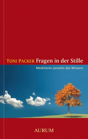 Cover of the book Fragen in der Stille by Brad Warner