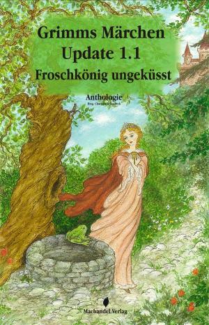 Book cover of Grimms Märchen Update 1.1