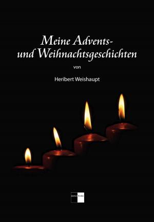 Cover of Meine Advents- und Weihnachtsgeschichten